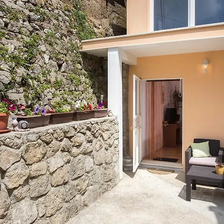 Guest house Maja 3*
